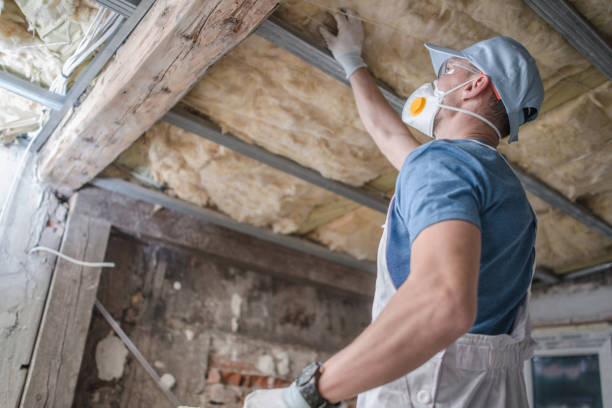 Best Specialized Insulation Services in St John, IN