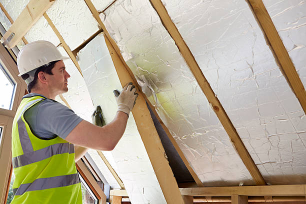 Best Insulation Maintenance and Repair in St John, IN